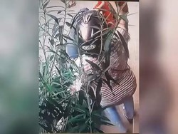 Terekam CCTV! Emak-emak Curi Tanaman di Kampung Ketandan Malioboro