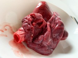 Jantung Ikan Hiu Dijual di Jepang, Bagaimana Rasanya?