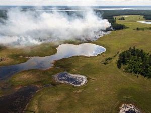 Rekor! Siberia Makin Hangat di Bulan Juni Rekor! Siberia Makin Hangat di Bulan Juni