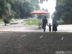 Hari Ini Dibuka, Kebun Raya Bogor Masih Sepi Pengunjung