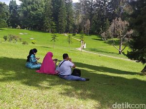 Buka Kembali di Momen Serba 7, Kebun Raya Cibodas Batasi Pengunjung