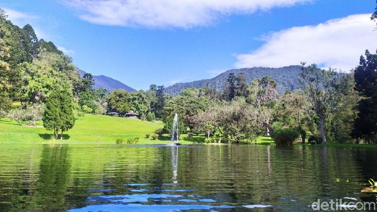 6 Destinasi Taman Unggulan Kebun Raya Cibodas: Jelajahi Keindahan yang Memukau