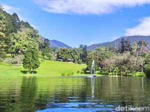 Kebun Raya Cibodas Punya 6 Taman yang Wajib Dikunjungi