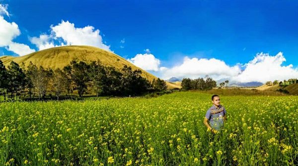 Wow! Kawasan di Bondowoso Ini Disebut Mirip Pulau Jeju Korsel