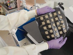 Peneliti Harvard Buat Robot Berbahan Kain