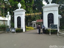 Batasi Pengunjung, Begini Suasana Kebun Raya Bogor Saat Kembali Dibuka