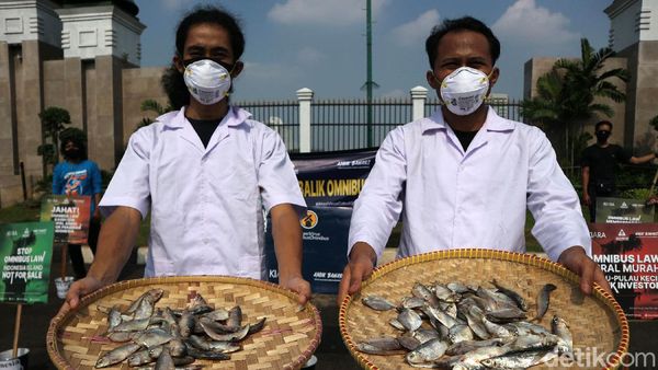 Sambil Bawa Ikan Asin, Massa Demo Omnibus Law di DPR
