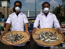 Sambil Bawa Ikan Asin, Massa Demo Omnibus Law di DPR