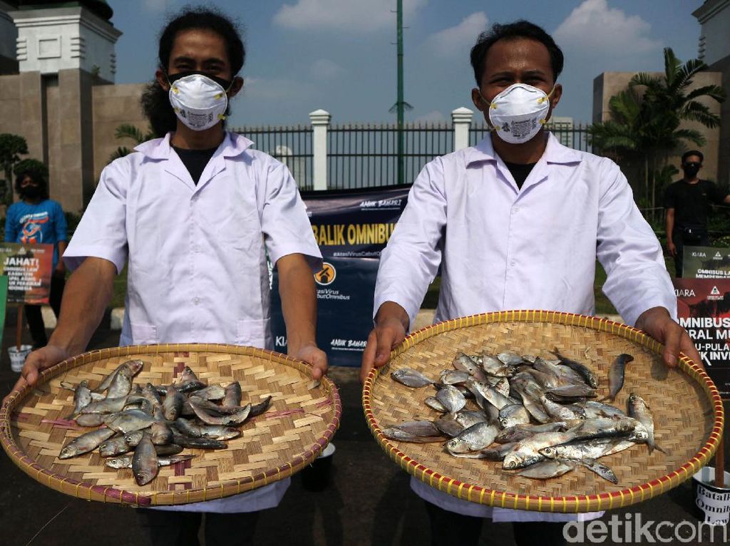 Sambil Bawa Ikan Asin, Massa Demo Omnibus Law di DPR Sambil Bawa Ikan Asin, Massa Demo Omnibus Law di DPR