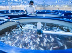 Jurusan Saintek yang Cocok buat Orang Tidak Suka Berhitung