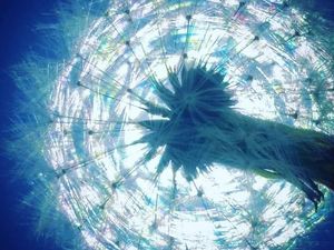 Foto Ajaib Ini Tercipta dari Benda-benda Biasa