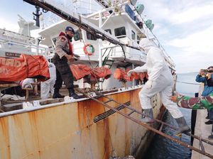 ABK Indonesia Tewas di Kapal China, Kapolda Kepri: Diduga Dianiaya