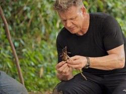 Gordon Ramsay Cicip Tarantula Bakar, Begini Komentarnya!