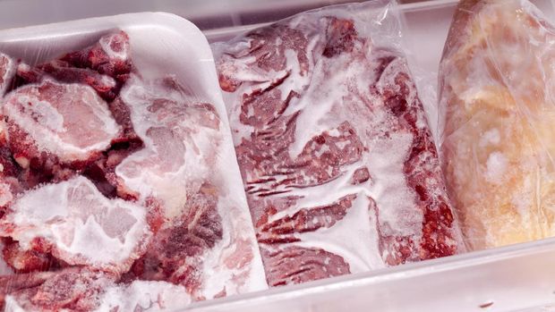 ilustrasi Frozen food