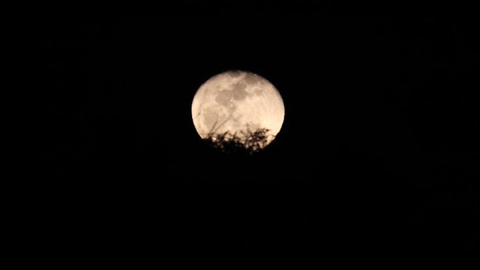 Bulan Purnama stroberi terlihat indah di langit Bandung, Jawa Barat, Selasa (7/7/2020) malam.