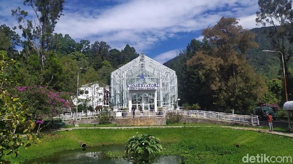 Baru Dibuka Kembali, Ini Spot Instagramable Kebun Raya Cibodas