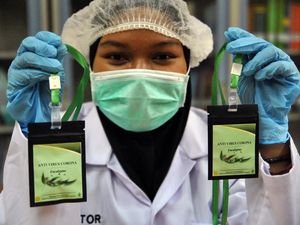 Puji Eucalyptus Kementan, IDI: Dorong Inovasi Penelitian yang Baik Puji Eucalyptus Kementan, IDI: Dorong Inovasi Penelitian yang Baik