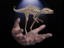 Nenek Moyang Dinosaurus yang Mungil Ditemukan di Madagaskar