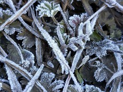 Puncak Gunung Lawu Berselimut Es, Pendaki Wajib Perhatikan Ini