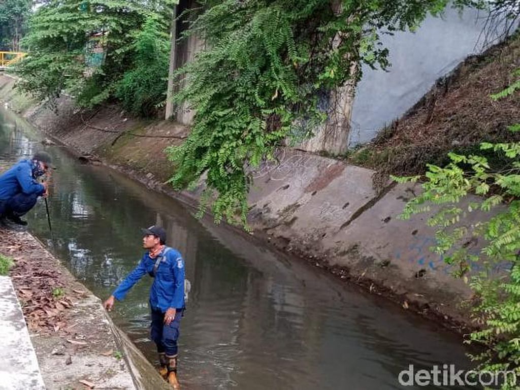 Cerita Pedagang Lihat Ular Sanca Seminggu Sebelum ABG di Tangsel Tewas Dililit Cerita Pedagang Lihat Ular Sanca Seminggu Sebelum ABG di Tangsel Tewas Dililit