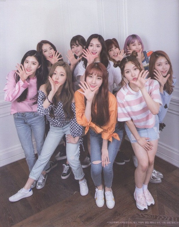 PRISTIN/ Foto: Koreaboo PRISTIN/ Foto: Koreaboo