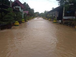 Banjir Terjang Sejumlah Desa di Luwu Sulsel, 100 KK Minta Dievakuasi