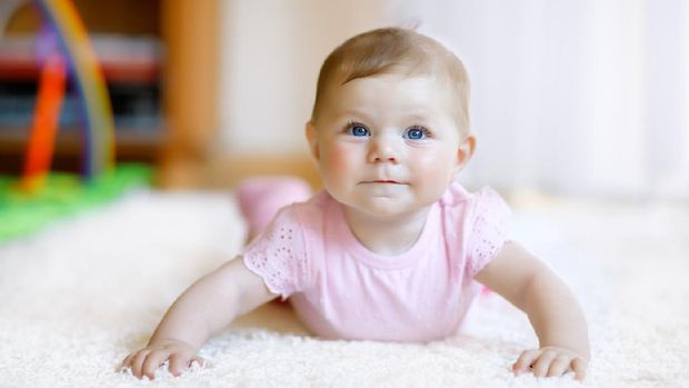 Perkembangan Bayi  Usia 6 Bulan Mulai  Mencoba Merangkak