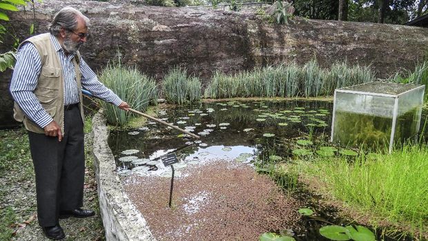 Botanist Alberto Gomez cleans a lake at the botanical garden in Quindio, Colombia on July 6, 2020. - When the pandemic broke out in the second most biodiverse country in the world, botanist Alberto Gomez made the botanical garden he founded more than forty years ago, his home. (Photo by Adriana RUIZ / AFP)