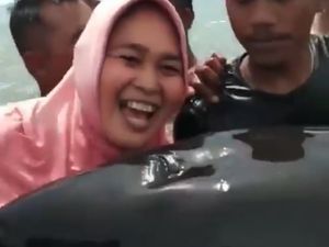 Dikira Lumba-lumba, Paus Pembunuh Ini Diciumi dan Dipeluk Warga Inobonto