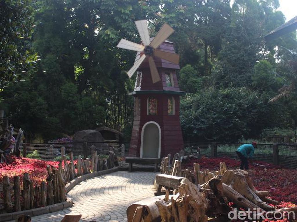 Wisata Bandung Rasa Eropa di Farm House Susu Lembang Wisata Bandung Rasa Eropa di Farm House Susu Lembang