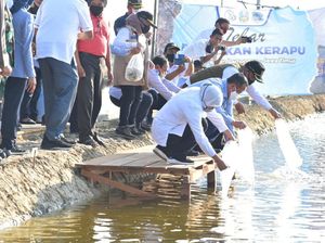 Datang ke Lamongan, Menteri KKP Dicurhati Pembudidaya Ikan Kerapu Datang ke Lamongan, Menteri KKP Dicurhati Pembudidaya Ikan Kerapu