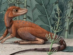 Nenek Moyang Dinosaurus Kemungkinan Berukuran Kecil