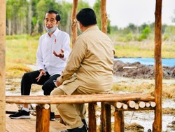 Gerindra soal Relawan Jokpro 2024: Jabatan Presiden Maksimal 2 Periode