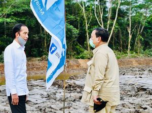 4 Alasan Jokowi Pilih Prabowo Jadi Komandan Proyek Lumbung Pangan
