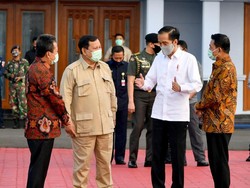 Didampingi Menhan Prabowo, Jokowi Tinjau Food Estate di Kalteng