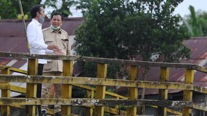 Potret Kebersamaan Jokowi-Prabowo Tinjau Lumbung Pangan