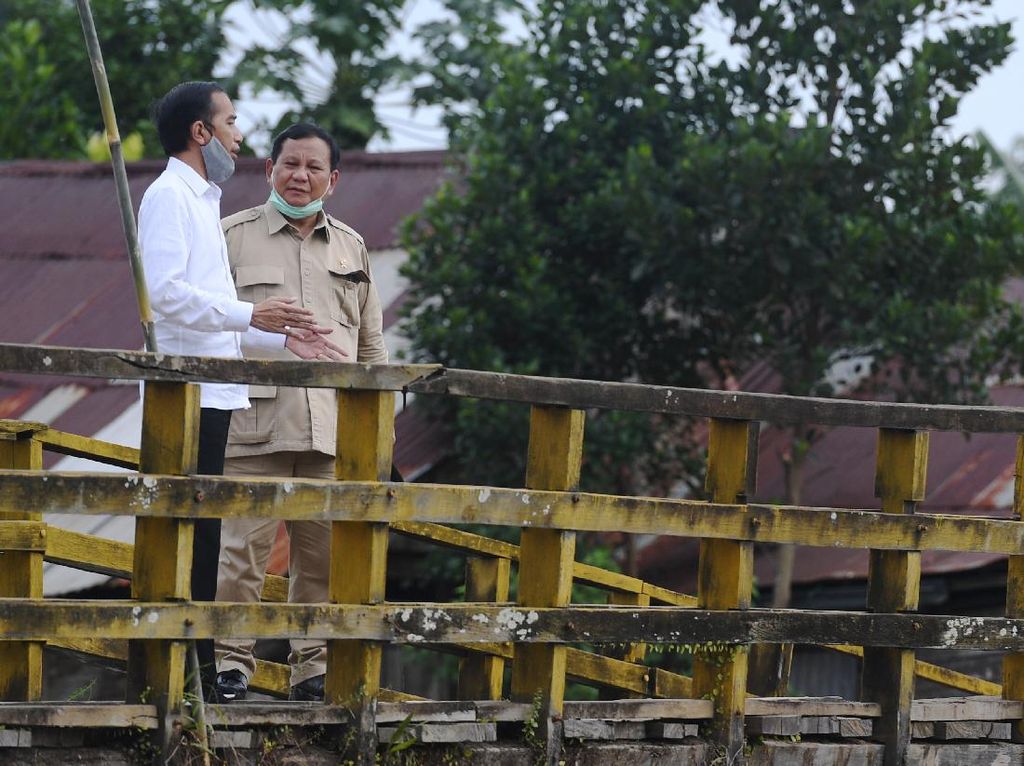 Peran Prabowo hingga TNI di Proyek Lumbung Pangan Terungkap