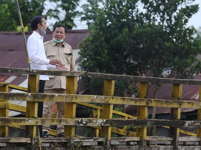 Potret Kebersamaan Jokowi-Prabowo Tinjau Lumbung Pangan
