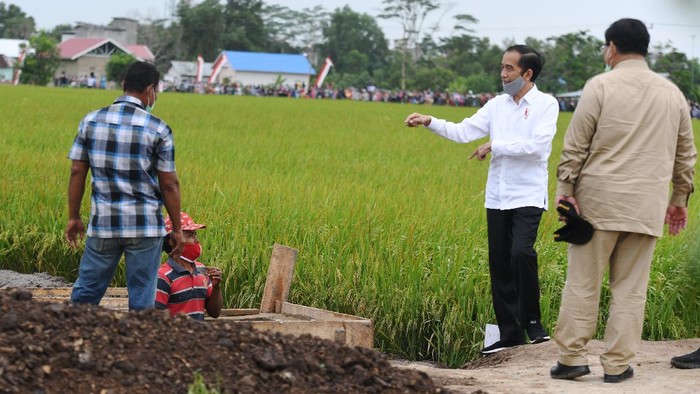 Presiden Joko Widodo (kanan) didampingi Menteri Pertahanan Prabowo Subianto (kiri), Menteri Pertanian Syahrul Yasin Limpo (kedua kiri) dan Menteri PUPR Basuki Hadimuljono (kedua kanan) meninjau lahan yang akan dijadikan 