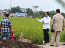 PDIP Kritik Food Estate, Gerindra Tegaskan Prabowo Jalankan Program Jokowi