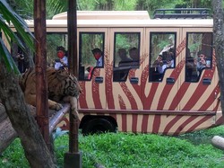 Lembaga Konservasi Ini Jadi Rujukan Protokol Kesehatan di Tempat Wisata Bali