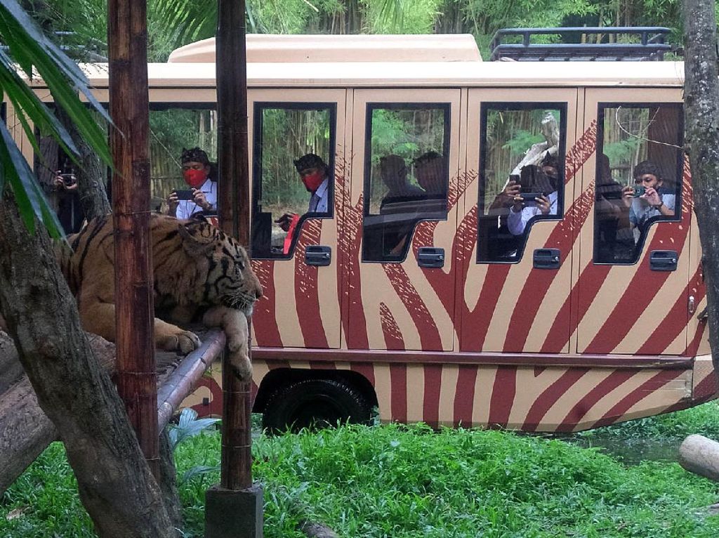 Wisata di Bali Ketat Terapkan Protokol Kesehatan Wisata di Bali Ketat Terapkan Protokol Kesehatan