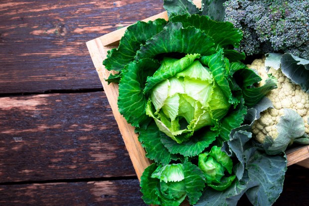 kubis dapat bermanfaat untuk atasi selulit