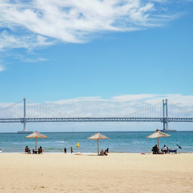 Foto: Instagram.com/pigdaily_cafe