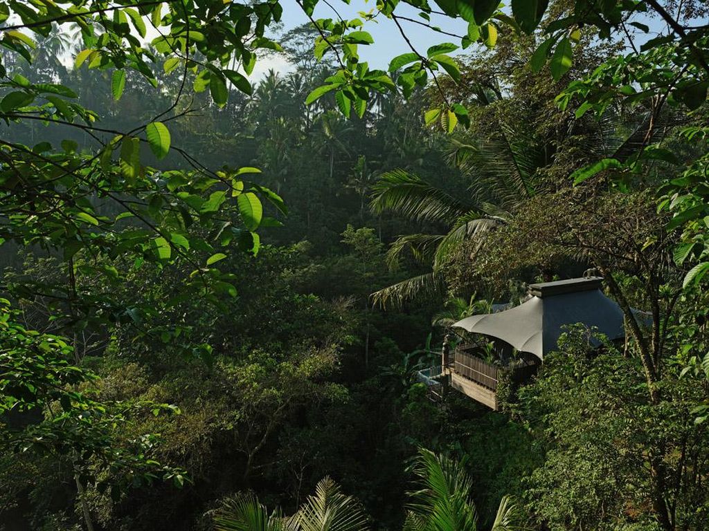 Kota Terbaik versi Travel+ Leisure, Ubud Geser Tokyo dan Singapura Kota Terbaik versi Travel+ Leisure, Ubud Geser Tokyo dan Singapura