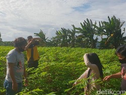 Jadi Tersangka, Bapak Tiri Cabuli Gadis 12 Tahun Istri Terapis Sejak 2018