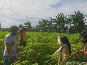 Polisi Isyaratkan Ada Tersangka Baru Kasus Gadis 12 Tahun Diperkosa Ayah Tiri Polisi Isyaratkan Ada Tersangka Baru Kasus Gadis 12 Tahun Diperkosa Ayah Tiri