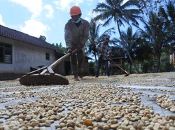 Mendag dan Mendes PDT Targetkan Ribuan Desa Ekspor