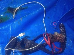 Polisi Ungkap Gesper-Kabel Charger Dipakai Eks Murid Habisi Guru di Sumsel