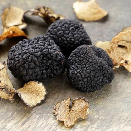 jamur truffle gratis
